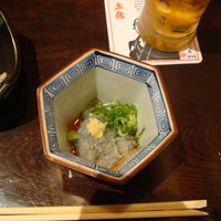 土佐料理 祢保希 丸の内店 - クエ鍋コース先付（どろめ）