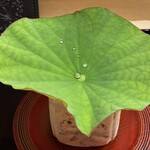 帰燕 - 
