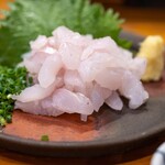 魚虎 - 2026.6 対馬産アナゴ刺し（1,380円）