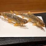 鮨 こん藤 - 稚鮎の天麩羅
