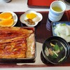 うなぎのうなけい