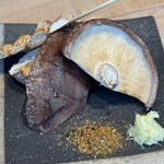 ノアの箱舟 - 