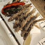 小川の魚 - 