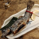 小川の魚 - 