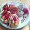 ドレモルタオ - 