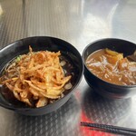 そばうどん 立ち喰い雑賀屋 - かき揚げそば、ホルモンカレーハーフ