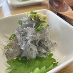 めがね丸 - 