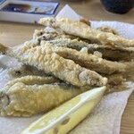 めがね丸 - 