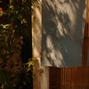 Yamasaki - 
