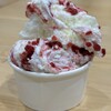しずてつストア 新静岡セノバ店