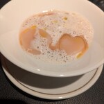 Potoro - 