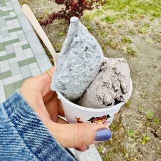 口コミ一覧 : あいすの家とエトセトラ 長沼本店 - 北広島/ジェラート