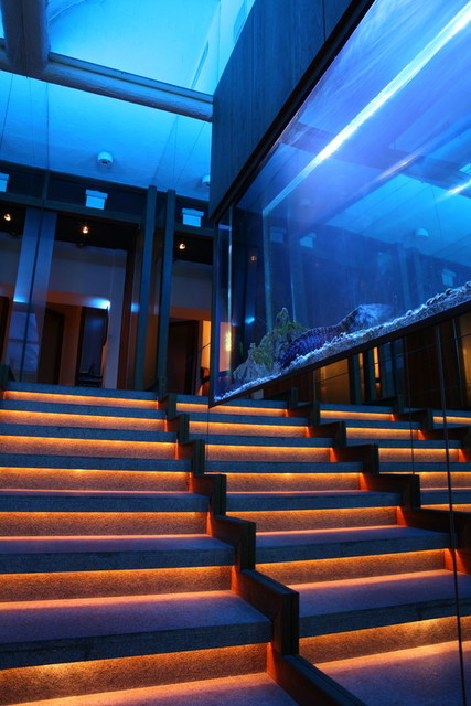 写真 ディープブルー横浜 Deep Blue Yokohama 馬車道 イタリアン 食べログ