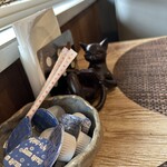 Cafe slack cats - 