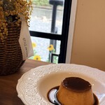 cafe cotton - 