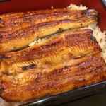 うなぎ専門店 松風 - 松風(うな重)