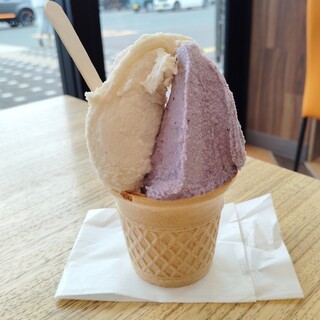 松ぼっくり_0