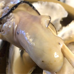 浅川亭 - 肉厚な牡蠣がプルプル