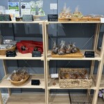 Atelier Polaris - 訪問時のラインナップ