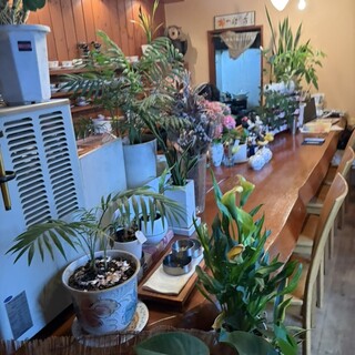 コーヒーガーデンみつばち_2