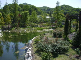 Brasserie Nakagawa - レストランのすぐ目の前は、軽井沢レイクガーデンさんの湖畔が広がる