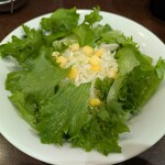 カレーハウス CoCo壱番屋 - 料理写真:まずはサラダ