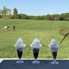 Yogibo Versailles Resort Farm CAFE - 料理写真: