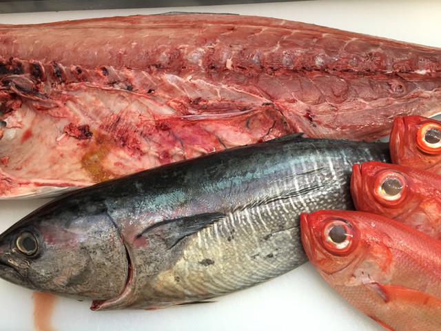 完全個室の前日予約制の純和食の店 By たけとも0116 閉店 たけ 六十谷 魚介料理 海鮮料理 食べログ