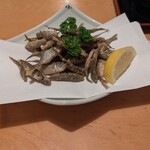 善兵衛新富士 - 