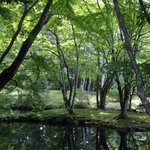 美庵 - ホテルより徒歩10分の雲場池