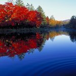 美庵 - 紅葉の雲場池