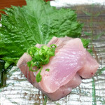 鮨匠 のむら - ハガツオ