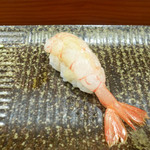 鮨匠 のむら - ナミクダヒゲエビ