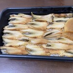 まちの駅 ADOA大野 - 