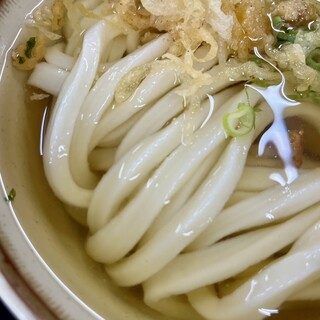 手打ちうどん ひさ枝_1