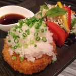 居酒屋どらごん - 鬼おろしとろカツ