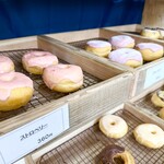 BLANKETDONUTS - 