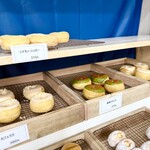 BLANKETDONUTS - 