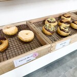 BLANKETDONUTS - 