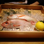 のどぐろ専門 銀座 中俣 - 