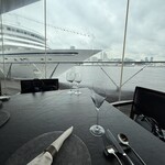 International cuisine subzero - 