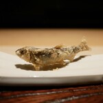 汽素火 - 