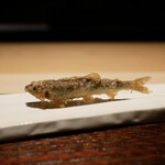 汽素火 - 