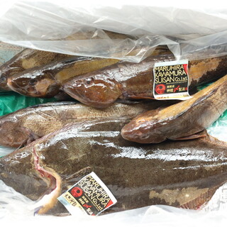 函館から直送の選び抜かれた鮮魚
