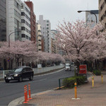 ア・ニュ ルトゥルヴェ・ヴー - 桜並木も綺麗でした。