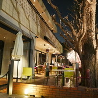 キハチ 青山本店 - 外苑前の銀杏並木通り沿いにあるオサレなダイニング。