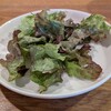 トラットリア ビーノ