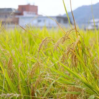 もつ鍋 亀八 別館_2
