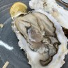 松本さざえ店 - 生ガキ　３ケ660円