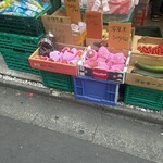 シンジキ - 